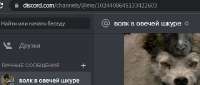 480x205