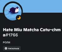 430x362