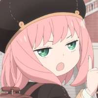 736x736