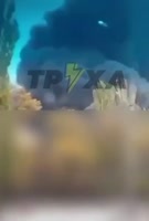 432x640