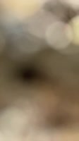 576x1024