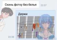 923x653