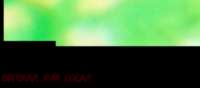 1338x592