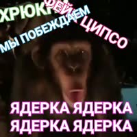 480x480