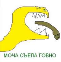 300x306