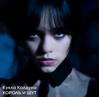 366x360