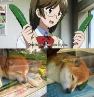 460x471