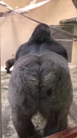 576x1024