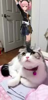 180x368
