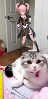622x1278