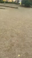 540x960