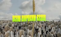 1160x704