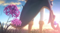1244x700