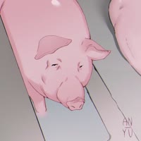 1080x1080