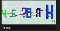 297x155