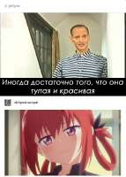498x695