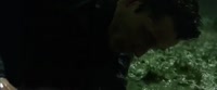 640x268