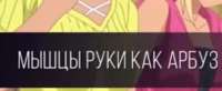 1229x508