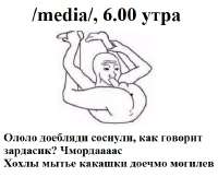 541x440