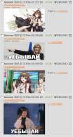483x906