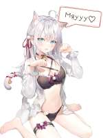850x1133