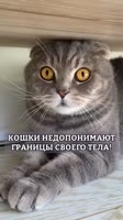 360x640