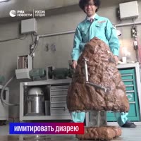 720x720
