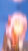 576x1024