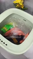 720x1280