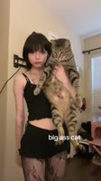 576x1024