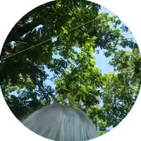 360x360