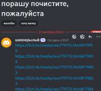 404x365