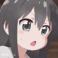 736x736