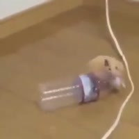 360x360