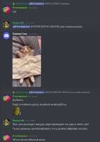 592x839