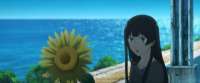 1920x804