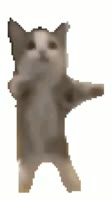 406x720