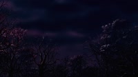 1280x720