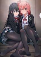 736x1013