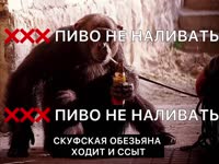 1280x960