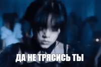 498x334