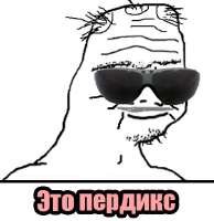 496x509