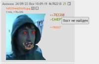 427x276