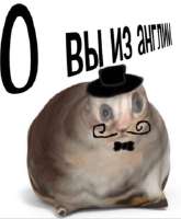 264x320