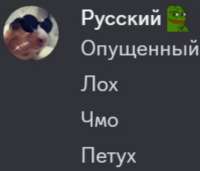 1010x868