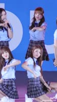 460x816