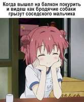 497x600