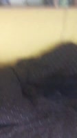 540x960
