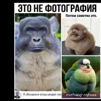 1280x1280