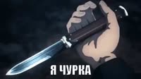 498x280